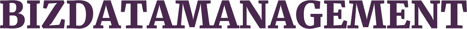 bizdatamanagement.net